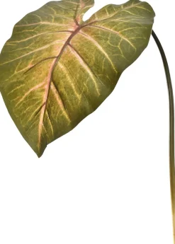 Clearance Jasaco Kunstzweig Kaladie dunkelgrün 113 cm Künstliche Deko-Zweige