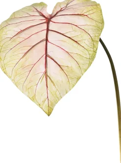 Outlet Jasaco Kunstzweig Kaladie rosa grün 113 cm Künstliche Deko-Zweige