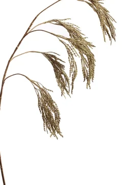 Online Jasaco Pure Kunstzweig Reisähre 105 cm gold Künstliche Deko-Zweige