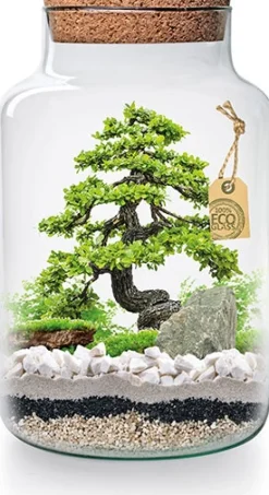 Online Just add Plants Pflanzenterrarium Glas mit Korken D 19 H 30 cm Vasen & Krüge|Blumentöpfe & Pflanzgefäße