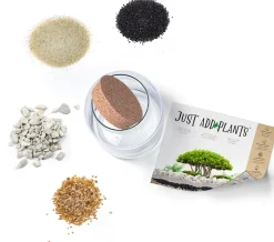 Online Just add Plants Pflanzenterrarium Glas mit Korken D 19 H 30 cm Vasen & Krüge|Blumentöpfe & Pflanzgefäße