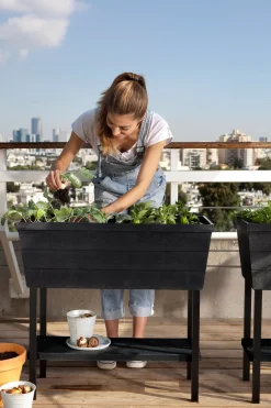 Keter Hochbeet Urban Bloomer anthrazit 48 l Hoch- & Frühbeete|Anzuchtkästen & Mini-Gewächshäuser