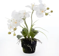 New Künstliche Orchidee (Phalaenopsis) im Topf D 43 cm weiß Kunstpflanzen