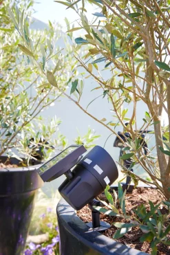 Sale Luxform Lighting Solar-Spot mit Erdspieß 10,4 x 14,5 x 34 cm Solar Gartenleuchten|Gartenstrahler & -Spots