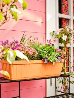 Clearance Mega Collections Balkonkasten Floreira terrakotta 40 x 19 x 17 cm Balkonkästen|Blumentöpfe & Pflanzgefäße