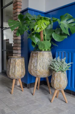 New Mega Collections Blumentopf Emir D 25,5 H 50 cm gold Blumentöpfe|Blumentöpfe & Pflanzgefäße