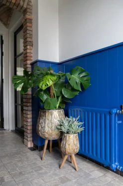 Discount Mega Collections Blumentopf Emir D 35 H 59 cm gold Blumentöpfe|Blumentöpfe & Pflanzgefäße