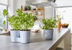 Clearance Mepal Kräutertopf 'Twin' weiß 27,3 x 13,7 x 22 cm Anzuchtkästen & Mini-Gewächshäuser|Blumentöpfe & Pflanzgefäße