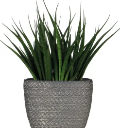 Sale Mica Decorations Blumentopf Alma oval 28 x 15 x 21 cm dunkelgrau Blumentöpfe|Blumentöpfe & Pflanzgefäße