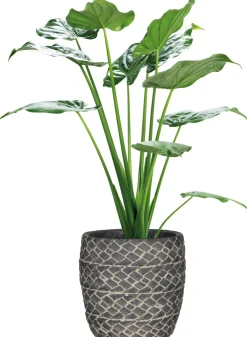 Mica Decorations Blumentopf Alma D 21,5 cm H 21 cm grau Blumentöpfe|Blumentöpfe & Pflanzgefäße