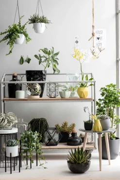 Sale Mica Decorations Blumentopf-Ständer Ascot schwarz D 13,5 cm H 14 cm Blumenständer