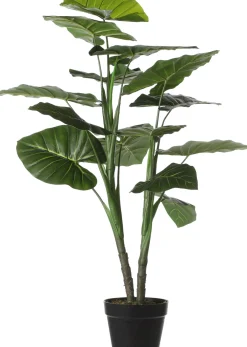 New Mica Decorations Kunstpflanze Taro D 70 H 100 cm Kunstpflanzen