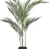 Discount Mica Decorations Kunstpflanze Palme 50 x 50 x 91 cm Kunstpflanzen