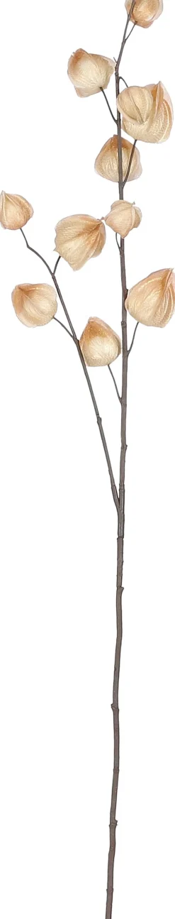 Online Mica Decorations Kunstzweig Physalis 94 x 17 x 4 cm creme Künstliche Deko-Zweige