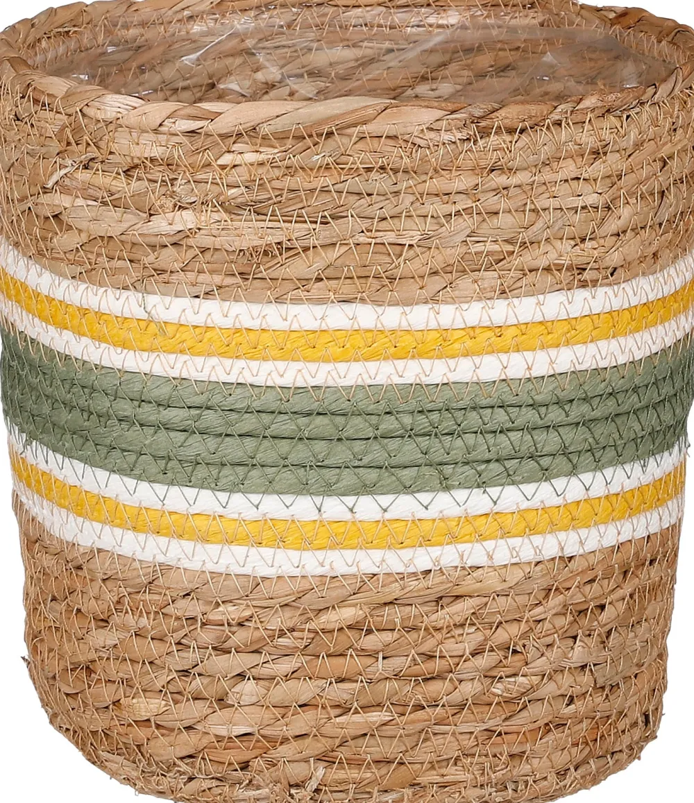 Discount Mica Decorations Pflanzkorb Rachel grün D 19 H 19 cm Pflanzkörbe|Pflanzkörbe