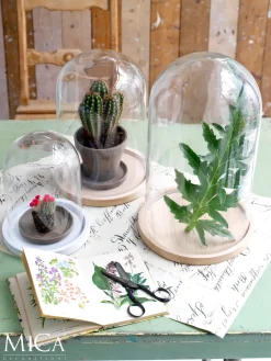 Best Mica Decorations Teller für Glasglocke Hella Holz hell D 17,5 cm H 2 cm Glasglocken