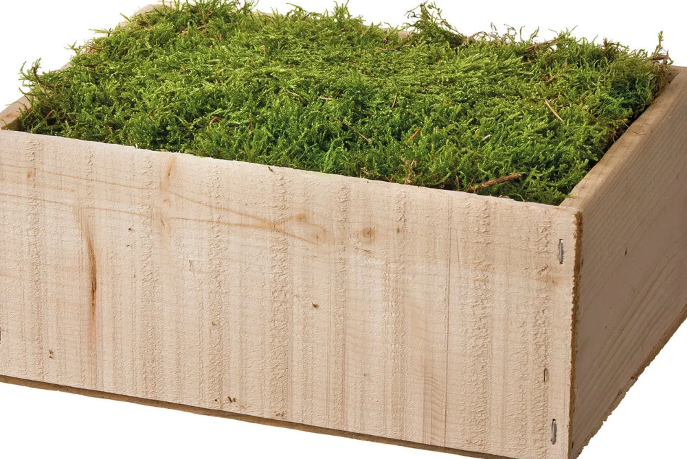 Outlet Moos zur Dekoration in Holzkiste 40 x 25 x 10 cm Weihnachts- & Adventsdeko