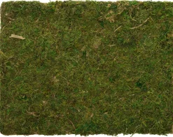 Outlet Moosmatte getrocknet 30 x 40 cm grün Weihnachts- & Adventsdeko