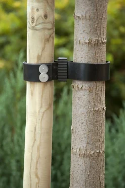 Outlet Nature Baumbinder Band breit 90 x 3,8 cm Rankhilfen|Bindematerial