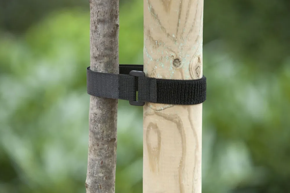 New Nature Baumbinder mit Klettverschluss und Schnalle 40 x 2,5 cm 2 St. Rankhilfen|Bindematerial