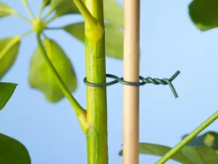 Discount Nature Bindedraht kunststoffummantelt D 0,8 mm x 50 m grün Rankhilfen|Bindematerial