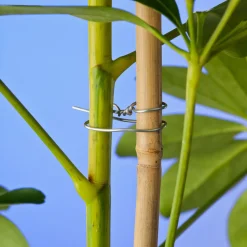 New Nature Bindedraht verzinkt D 1,2 mm x 50 m Rankhilfen|Bindematerial