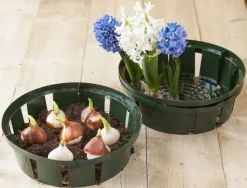 Online Nature Blumenzwiebel Pflanzschale grün D 26 H 7,5 cm 3 St. Blumenzwiebelpflanzer|Schaufeln