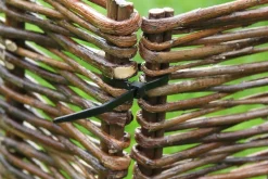 Discount Nature Kabelbinder 20 cm schwarz 25 St. Rankhilfen|Bindematerial