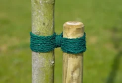 Sale Nature Kokosgarn grün 50 m Rankhilfen|Bindematerial