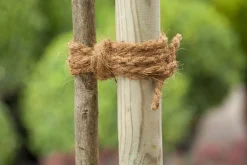 New Nature Kokosseil 15 m Rankhilfen|Bindematerial