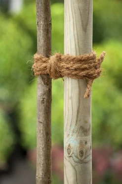 New Nature Kokosseil 15 m Rankhilfen|Bindematerial