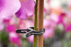 Outlet Nature Pflanzenclips D 35 mm 5 St. Rankhilfen|Bindematerial