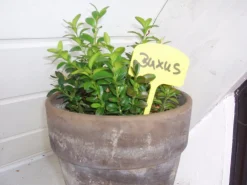 Outlet Nature Pflanzenschilder 12,5 cm gelb 10 St. Pflanzenschilder