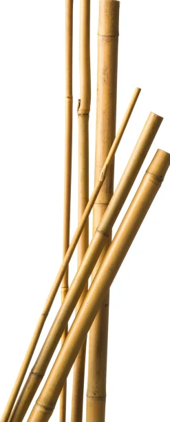 Hot Nature Pflanzstab Bambus H 180 cm D 14-16 mm 3 St. Rankhilfen|Pflanzstäbe
