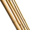 Online Nature Pflanzstab Bambus H 90 cm D 8-10 mm 7 St. Rankhilfen|Pflanzstäbe