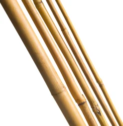 Online Nature Pflanzstab Bambus H 90 cm D 8-10 mm 7 St. Rankhilfen|Pflanzstäbe