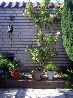 Clearance Nature Rankgitter V-Form Metall 150 x 5-75 cm grün Rankhilfen|Rankgitter & Spaliere