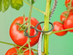 Nature Tomatenringe D 65 mm 25 St. Rankhilfen|Pflanzenstützen