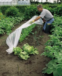 Discount Nature Tunnelbogen für Folientunnel H 48 D 56 cm Folientunnel