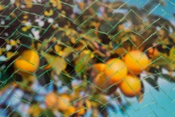 Sale Nature Vogelschutznetz Mono Maschenweite 6x6mm 10 x 4m grün Pflanzenschutz|Schutznetze