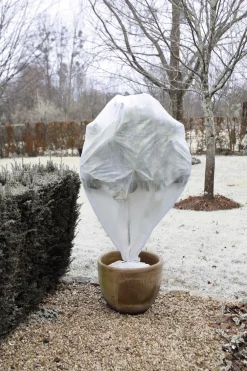 Clearance Nature Winterschutz-Haube 75 x 75 cm weiß 3 Stück Pflanzenschutz|Winterschutz