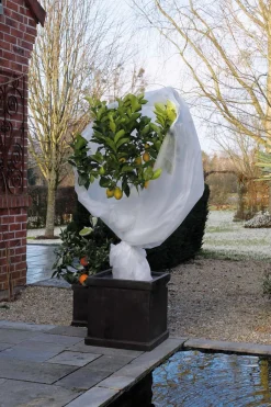 Sale Nature Winterschutzvlies 1 x 10 m weiß Pflanzenschutz|Winterschutz