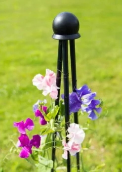 New Peacock Kuppel-Stab-Verbinder Rankhilfen|Pflanzenstützen