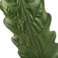 Best Pfeilblatt (Alocasia 'Lauterbachiana') D 19 cm H 75 cm Grünpflanzen|Alocasia