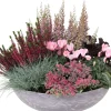 Pflanzenarrangement Herbst mit Heide D 38 H 35 cm Pflanzenarrangements