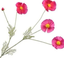 Sale Silk-Ka Kunstblume Cosmos 92 cm Kunstblumen