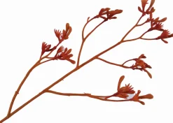 Sale Silk-ka Kunstblume Känguru-Blume orange 72 cm Kunstblumen