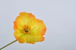 Clearance Silk-ka Kunstblume Mohn orange 69 cm Kunstblumen