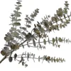 New Silk-Ka Kunstzweig Eukalyptus 111 cm grün Künstliche Deko-Zweige