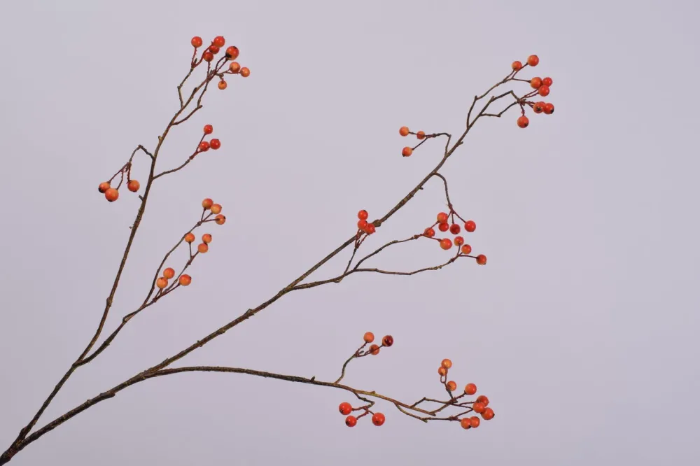 Discount Silk-ka Kunstzweig mit Beeren orange 94 cm Künstliche Deko-Zweige